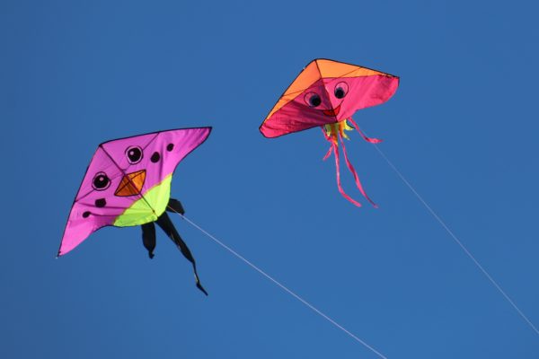 Top 6 Kites Perfect for the Beach ?